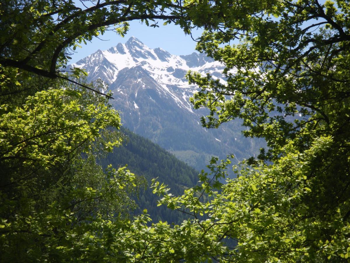 Appart Burgwies Ink Nationalpark Sommercard Stuhlfelden Εξωτερικό φωτογραφία